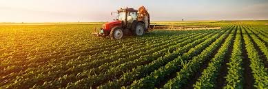 शेतकऱ्यांना दर्जेदार कृषि निविष्ठांचा पुरवठा करा  - जिल्हाधिकारी जितेंद्र डुडी