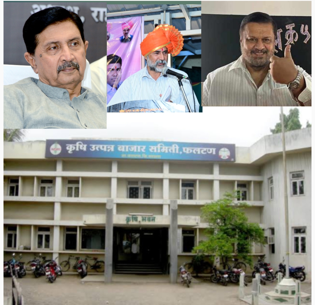 फलटणच्या बाजार समितीवर राजे गटाची एकहाती सत्ता :  रामराजेच किंगमेकर 