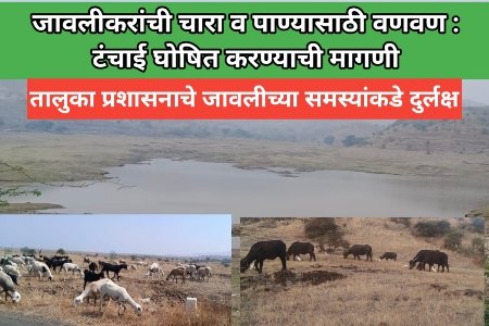 पाणी किती , कधी प्याल ? जाणून घ्या