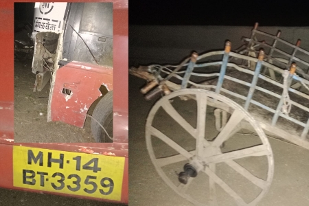पोटाची भूक शमविण्यासाठी मनोरुग्णाने तोडले चितेवर जळत असलेल्या कोविड प्रेताचे लचके 