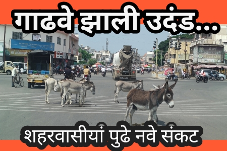प्रीती झिंटा कडेही गुड न्युज
