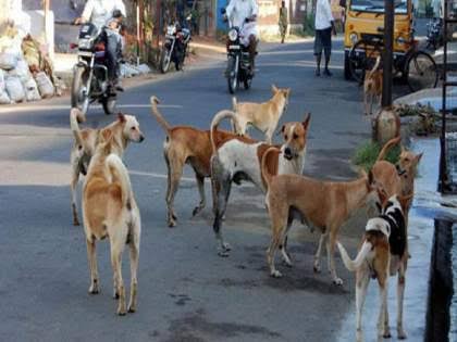 कारी येथे आगीत घर जळून खाक