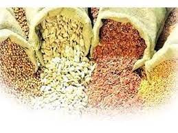 राज्यात बियाणे व खतांचा मुबलक साठा उपलब्ध  पुरेसा पाऊस पडल्यानंतर पेरणी करावी --कृषि आयुक्त सुनील चव्हाण