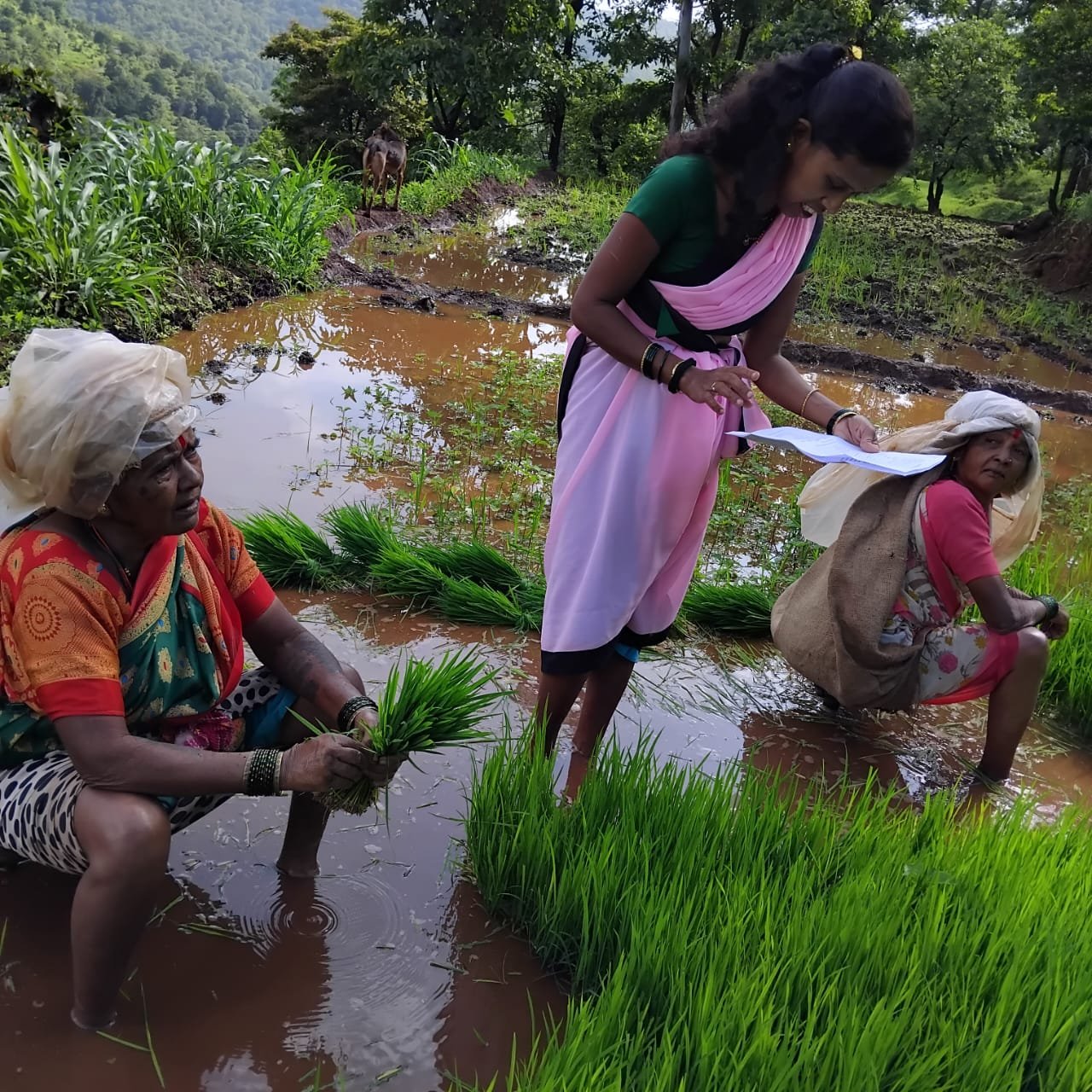 लाडक्या बहिणींसाठी- मुख्यमंत्री- माझी लाडकी बहीण योजना - जिल्ह्यात आतापर्यंत 1 लाख 12 हजार बहिणींचे रजिस्ट्रेशन