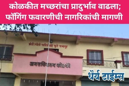 कोळकीत मच्छरांचा प्रादुर्भाव वाढला; फॉगिंग फवारणीची नागरिकांची मागणी