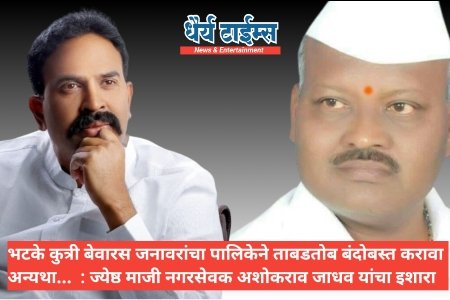 भटके कुत्री बेवारस जनावरांचा पालिकेने ताबडतोब बंदोबस्त करावा अन्यथा...  : ज्येष्ठ माजी नगरसेवक अशोकराव जाधव यांचा इशारा 