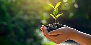 पर्यावरण संवर्धनासाठी एक कुटूंब एक झाड मोहिम