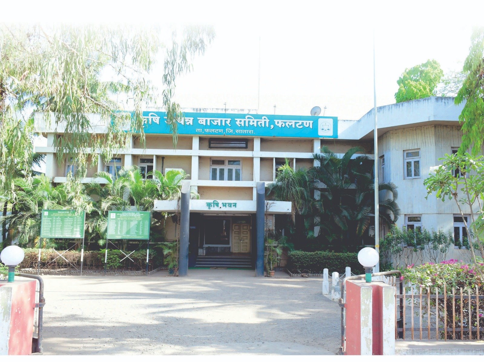 फलटण बाजार समिती कडून हमीभावाने मका खरेदी साठी शेतकऱ्यांची ऑनलाईन नोंदणी सुरू